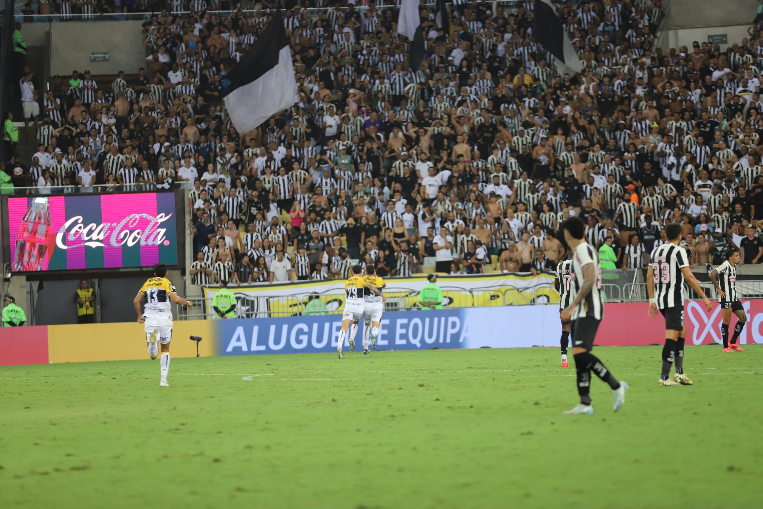 Botafogo e Criciúma empatam no Maracanã, pelo Brasileirão — Foto: Celso da Luz/Assessoria de imprensa Criciúma E.C.