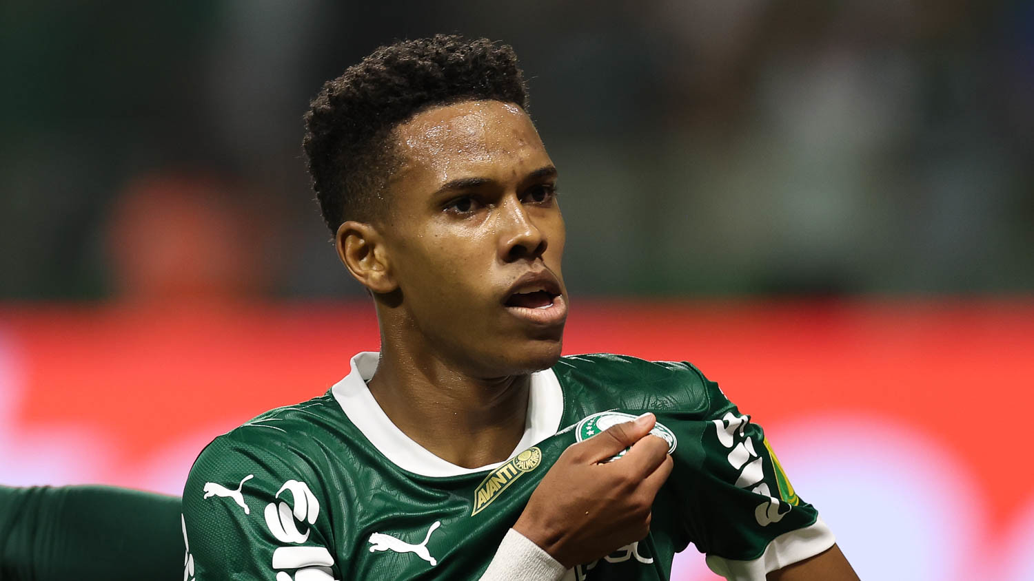Estêvão marcou um dos gols da virada do Palmeiras sobre o Botafogo-SP