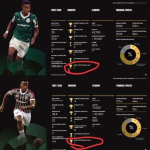 Site da FIFA reconhece Palmeiras e Fluminense como "Campeões Intercontinentais"